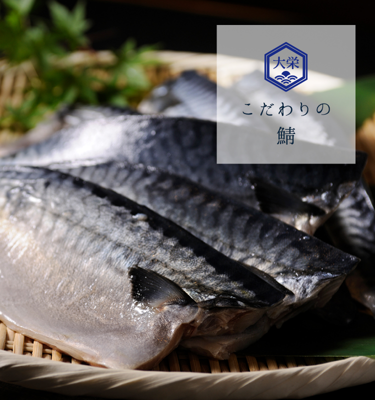 こだわりの鯖